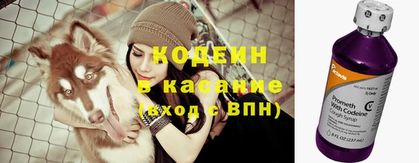прущие грибы Каменск-Шахтинский
