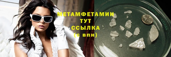 прущие грибы Каменск-Шахтинский