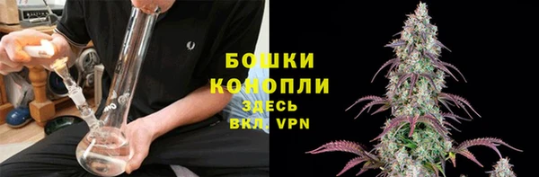 трава Каменногорск