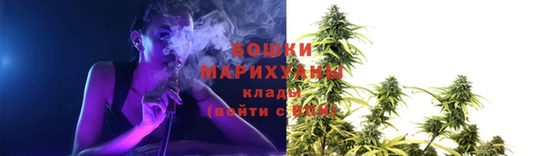 трава Каменногорск