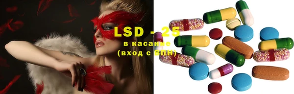 трава Каменногорск