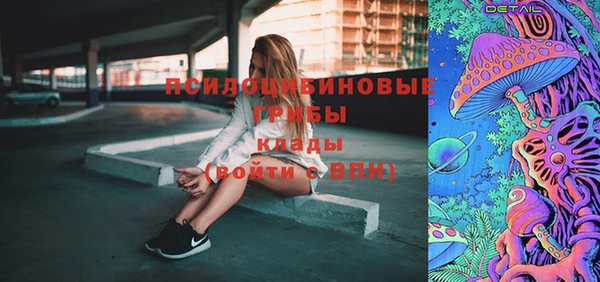 прущие грибы Каменск-Шахтинский