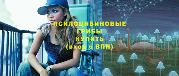 прущая мука Каменка