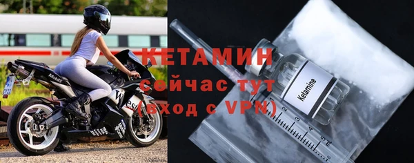 прущие грибы Каменск-Шахтинский