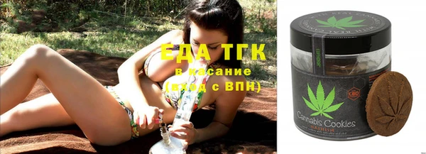 тгк Касимов